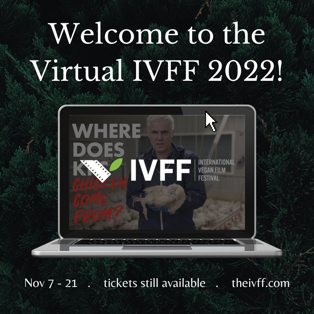 The Online Virtual Screening starts today with 44 films from 8 countries (12 feature films and 32 shorts)! It runs from Nov. 7-21. Purchase an entire Festival pass or individual film blocks (approx. 90 minutes each) at theivff.com #tickets #virtual #vegan #film