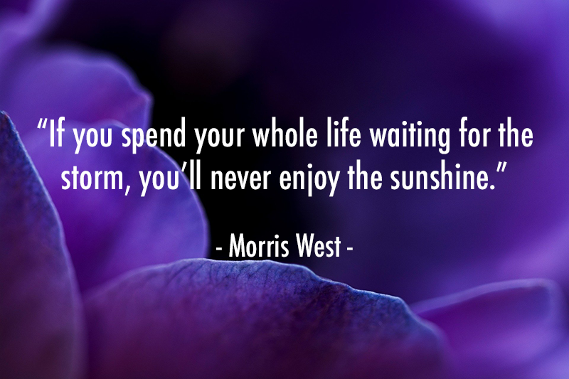 YMCA Blue Water Area tweet media