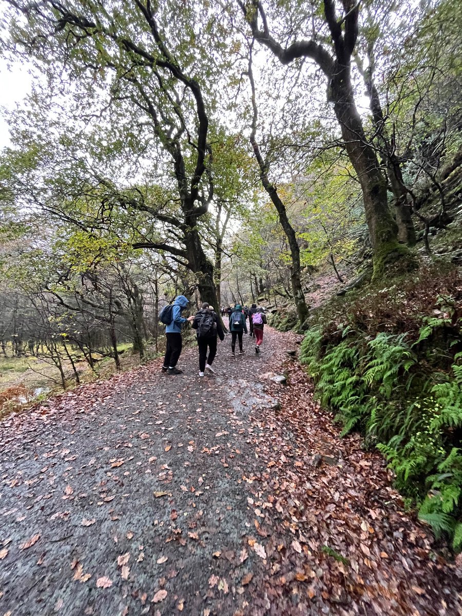 Mercy Inchicore tweet media