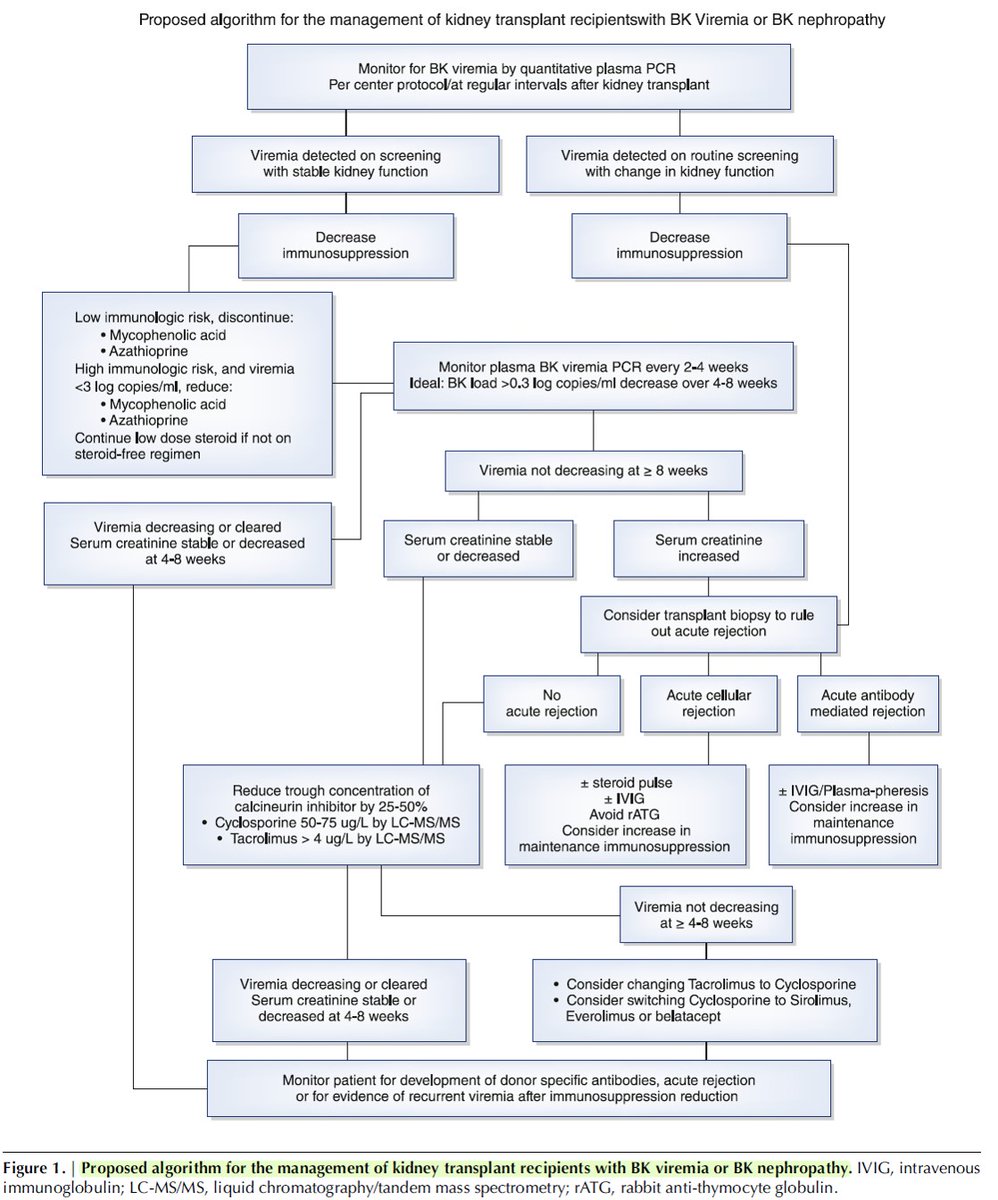 Doctor_Stewie's tweet photo. BK virus ➡️ Causa importante pérdida del injerto renal 😔 

Algoritmo propuesto por los autores muy completo en cuanto al manejo de la Nefropatía por BK 🔝

#nephrology #nephtwitter #MedTwitter #medicine #nephro #Nephpearls 

Sawinski et al. CJASN. 2018
https://t.co/xvG8AaWxAT https://t.co/ZuWw4rjYJ0