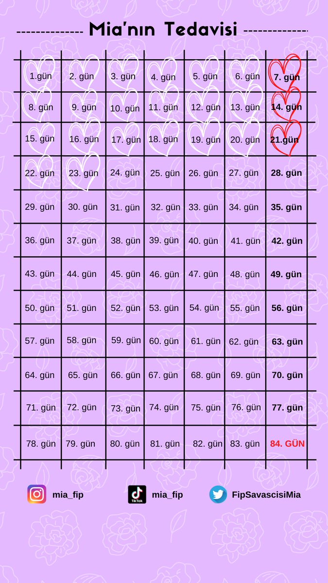 Mia'nın tedavisinde 23. güne geldik. Yardımlarımız kesildi, elimizde kalan son yardımları kullanıyoruz. Yardımınıza ihtiyacımız var.
#MianinPatisindenTut

#fip #fipwarrior #fipwarriors #fipinjection #fipwarriorsturkey #fipsavascilari #fiplikedilerepaylasimdestegi #fiplikediler