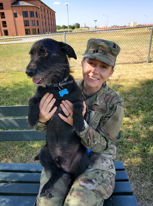 Tweet by Purdue Veterinary Medicine