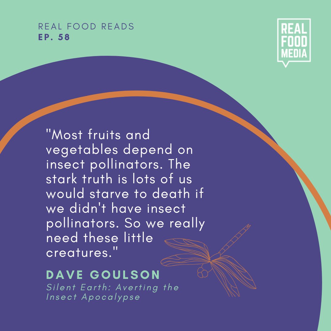 realfoodmedia's tweet photo. Do you have childhood memories of a world filled w insects? Today we have 75% fewer insects than we did 50 yrs ago.

Listen to @annalappe
&amp; @DaveGoulson talk about averting the insect apocalypse in this #Patreon Bonus Episode of #RealFoodReads #SilentEarth https://t.co/P8C56Halye https://t.co/yRPgcbrceX