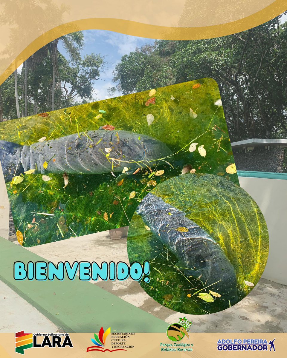 Parque Zoológico y Botánico Bararida tweet media