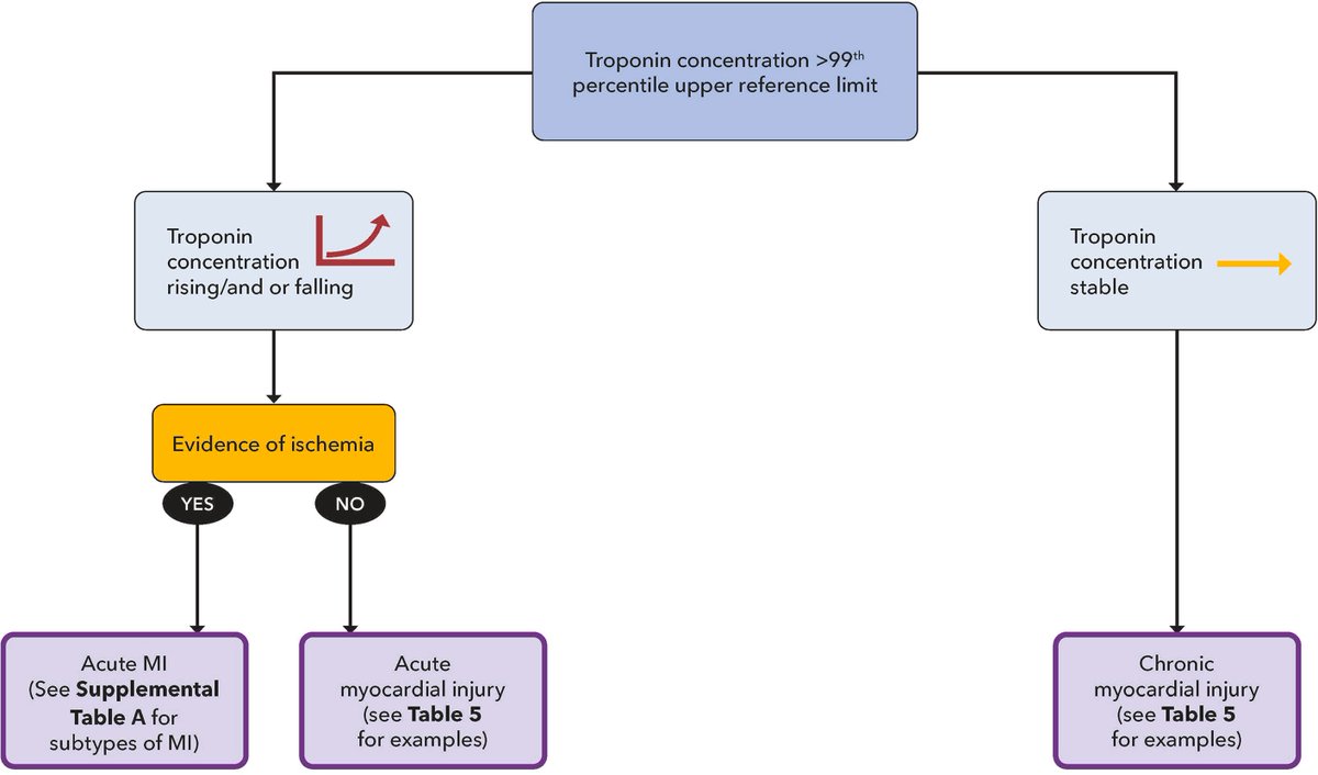 SeguraCardio's tweet photo. 📌2022 @ACCinTouch Consensus Decision Pathway on the Evaluation &amp; Disposition of Acute Chest Pain in the Emergency Department

#CardioTwitter #CardioEd #ChestPain #ED https://t.co/o3mWG5D32a