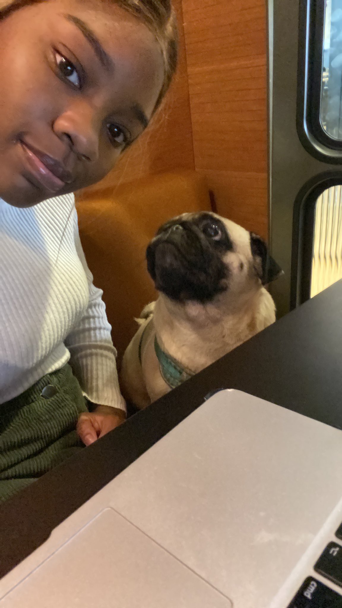 dont @ me on Twitter: 