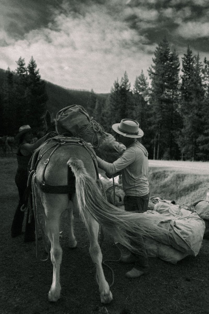 Ropes & canvas, mules & leather…
A packers morning in the #BobMarshallWilderness 

#LeicaQ2 #montana #blackandwhitephotography