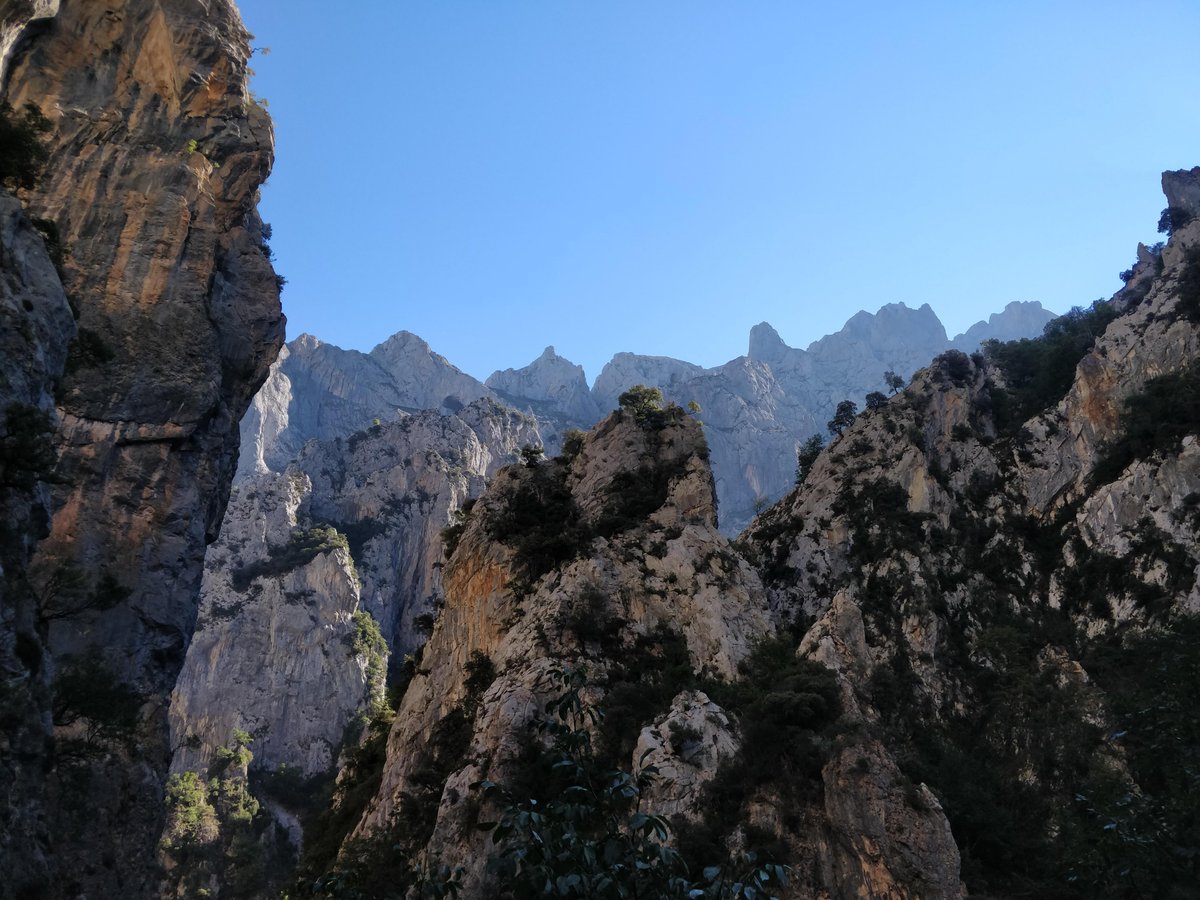 Jonathan Evans tweet media