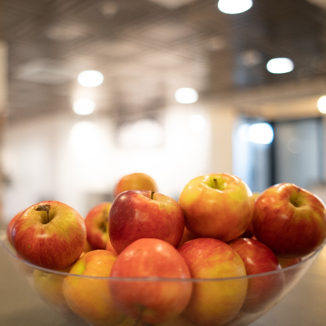 TheMillDE's tweet photo. Since November is #gratitudemonth, we want to shout out to our #community member Ray for always bringing in the "fruits" of his labor to share! Thanks to his hard work and #greenthumb, we always have nutritious goodies! #changethewayyouwork #themillde #coworking #inwilm https://t.co/HcQyGmBjET