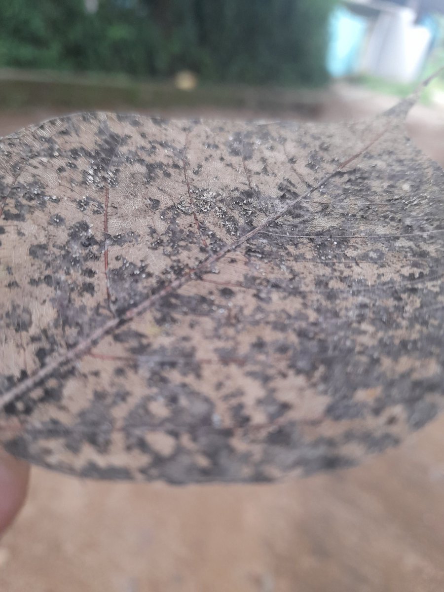 Zee creation (@creation_zee) on Twitter photo 