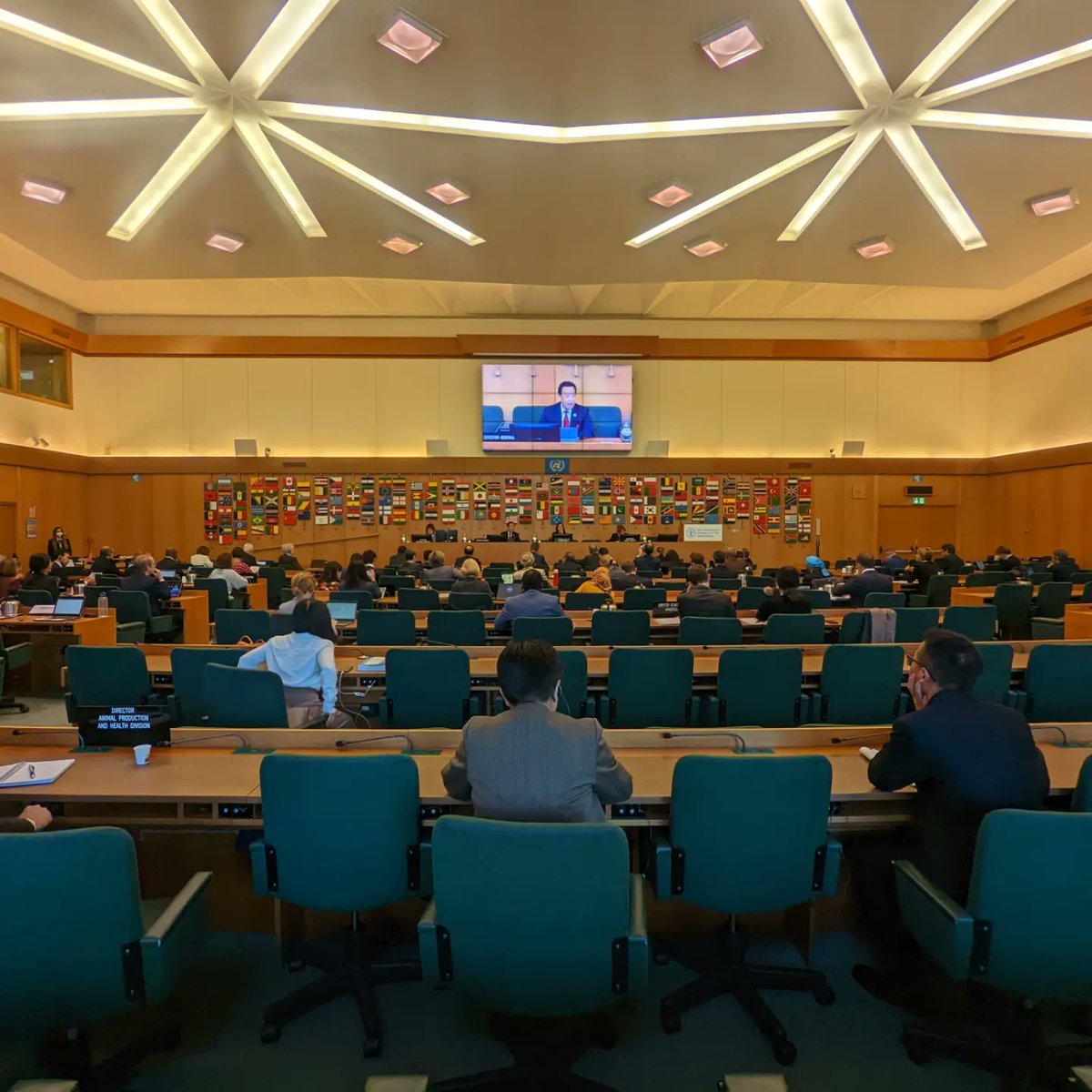 The 134th session of the #ProgrammeCommittee of <a href="/FAO/">Food and Agriculture Organization</a> was launched this morning. Ambassador Rubinstein serves as the committee's chairwomen.
She welcomed the members and also the silent observers that returned to take part for the first time since the outbreak of the #Pandemic.