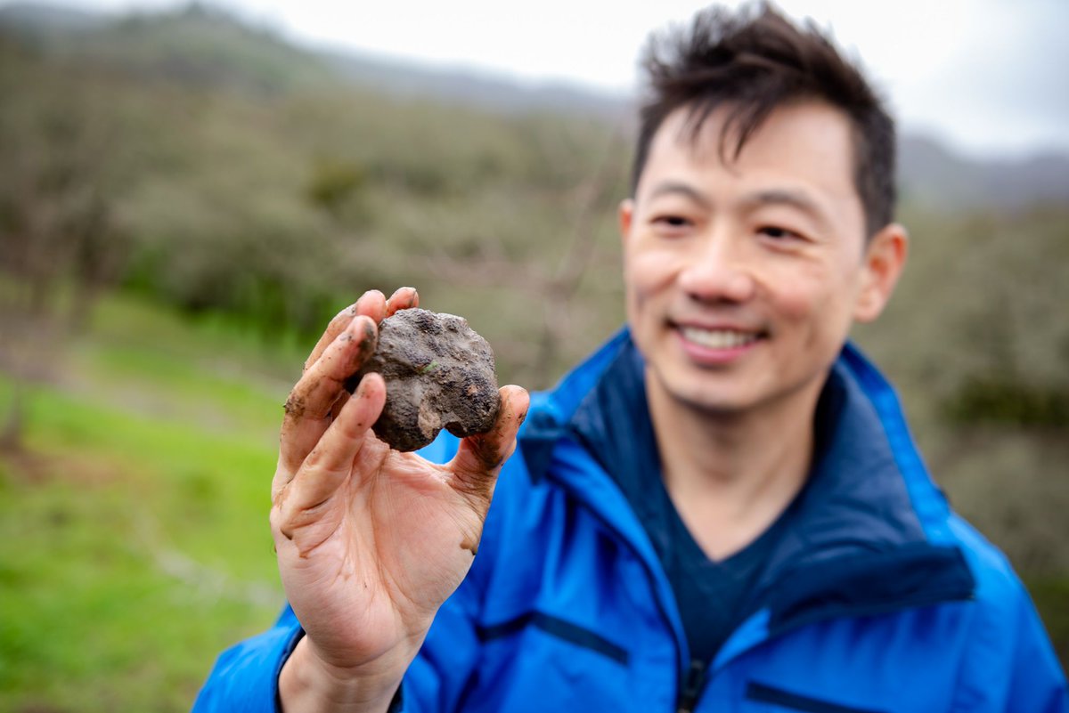 NapaTruffleFest's tweet photo. The #NapaTruffleFest began 12 years ago &amp; has become N. America's premier truffle event, always drawing crowds to savor this culinary masterpiece.

We're excited to gather again in Jan 2023! Sign up for our newsletter to stay informed.

https://t.co/pFuCMd6erZ https://t.co/qXDDalC4Qx