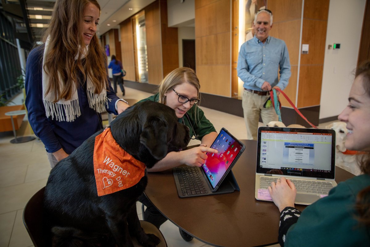 Tweet by Virginia-Maryland College of Veterinary Medicine