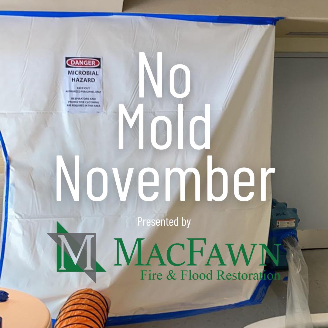 While others aren't shaving, we are remediating! Become a client this November and receive $250 off any mold remediation project in your attic or basement! And of course, current clients will get the same deal!

#MoldRemediation #Moldvember #NoMoldNovember #NoShaveNovember