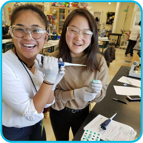 miniPCR bio (@minipcr) on Twitter photo Remember, you can browse all of our 🧬Learning Labs🧪 and select the perfect one for you and your class here. The lab guides and associated curriculum are all free to download!
minipcr.com/products/minip… Remember, you can browse all of our 🧬Learning Labs🧪 and select the perfect one for you and your class here. The lab guides and associated curriculum are all free to download!
minipcr.com/products/minip…