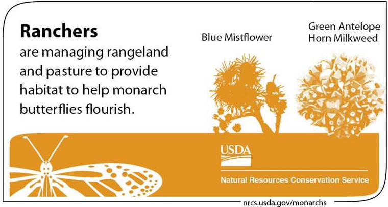 Up and down the migration corridor, farmers and ranchers are working to help monarchs rebound. bit.ly/2ZkEcaZ #MonarchMonday