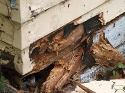 termite157's tweet photo. I would go to school if ___was the building, ___ was the teacher, ___ was the lunchroom, and ___ were the students https://t.co/GEWVa2chBJ
