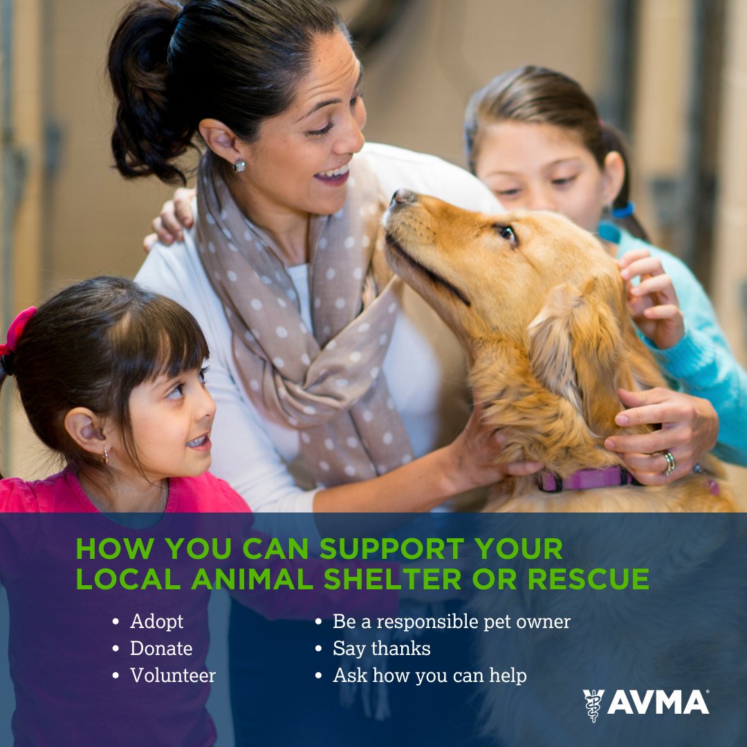 Tweet by AVMA (American Veterinary Medical Association)