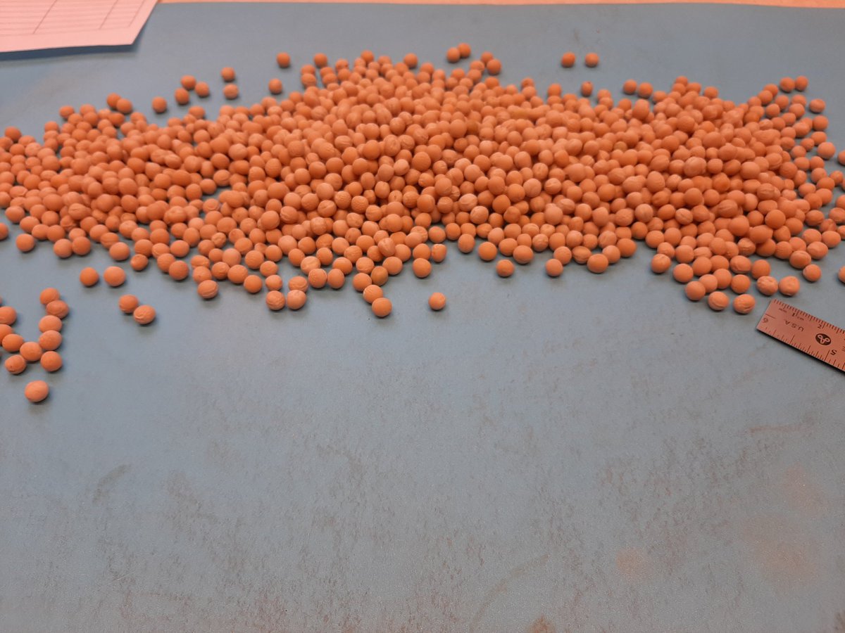 Court Seeds tweet media