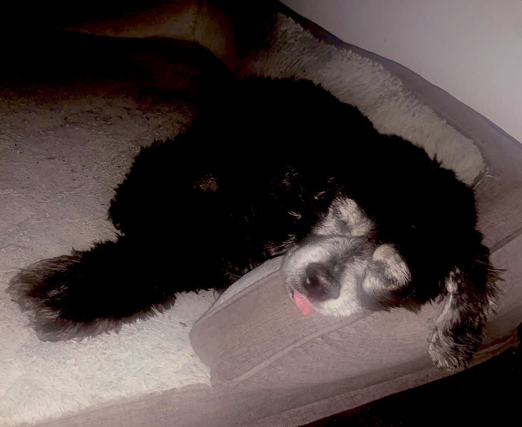 Sheree “Principal Auntie” Bogany tweet media