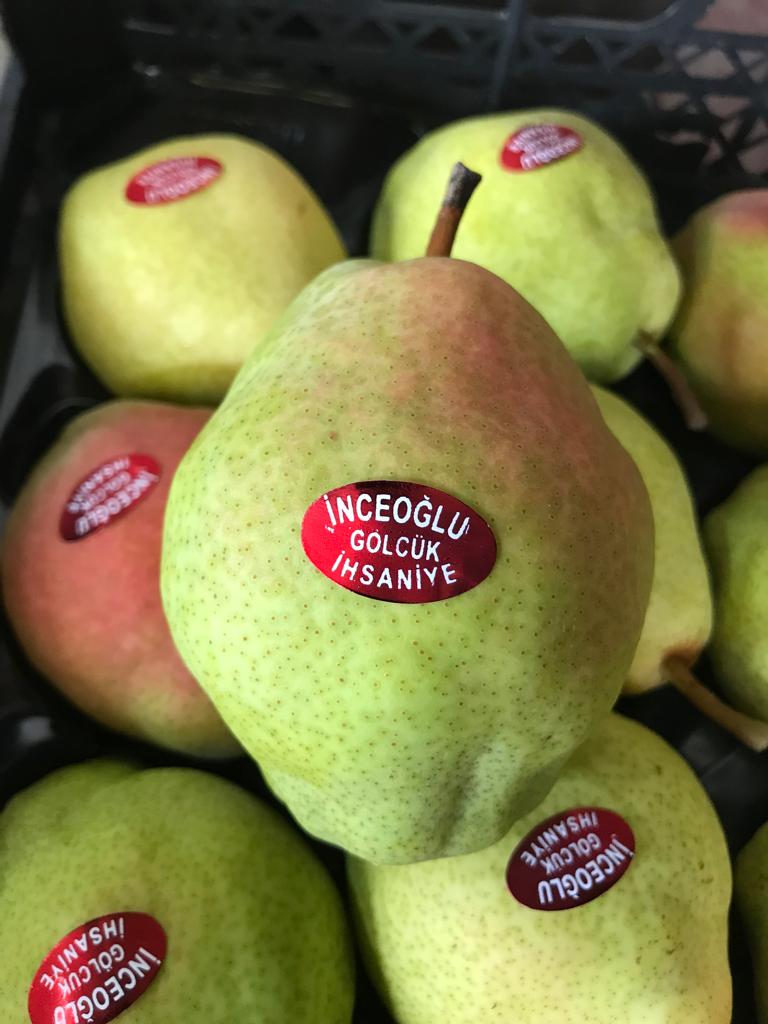 Huseyin Inceoglu tweet media