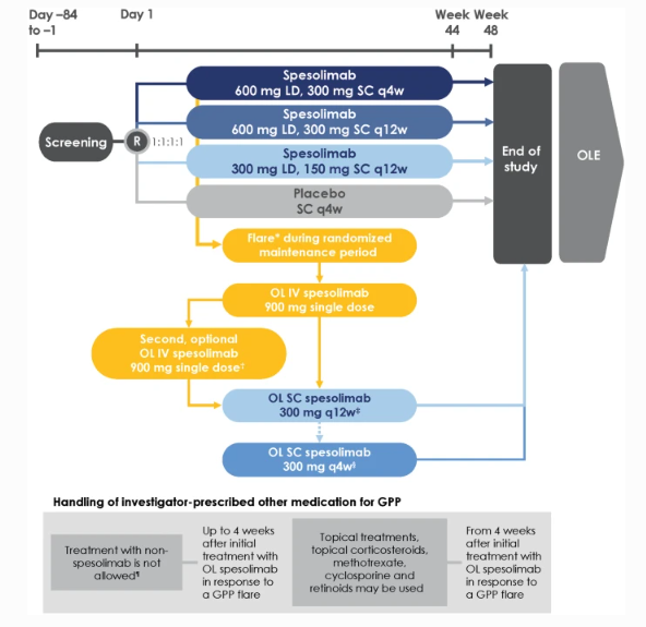 DermatolTher's tweet photo. Design of Effisayil™ 2: A Randomized, Double-Blind, Placebo-Controlled Study of #Spesolimab in Preventing Flares in Patients with #GeneralizedPustularPsoriasis: https://t.co/yT36syxhoD #StudyProtocol #PustularPsoriasis #Dermatology https://t.co/z0zjLK3w9k