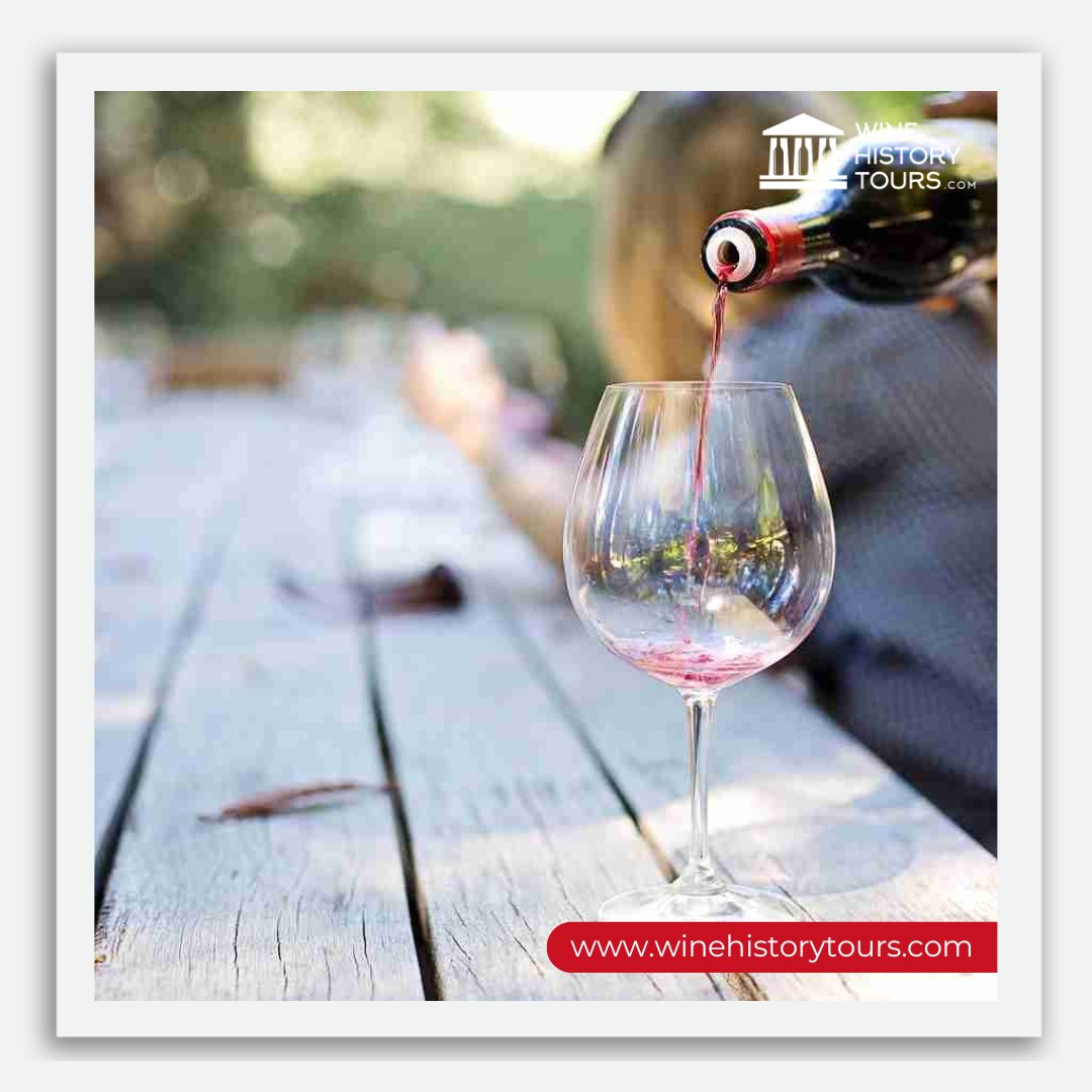 winetours_'s tweet photo. 🍷 All wines should be tasted. Some should only be sipped, but with others, drink the whole bottle.
🔘 https://t.co/u8Awr3w0EV
.
.
.
#winetour #sweetwine #oldwine #winetasting #WineHistoryTours #winetasting #winetime #instawine #winery https://t.co/GG9xDfe3Es