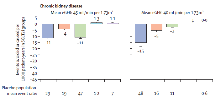 FrederikPersson's tweet photo. If you are only going to read one paper this year: See the Lancet meta on #SGLTi w/wo #diabetes.
End of discussion. Undisputable.
Benefits far outweigh risks - especially in non-diabetic #CKD
#keepblocking #flozinate #nephtwitter
@Stenodiabetes @P_Rossing https://t.co/ncJ50IEiFe