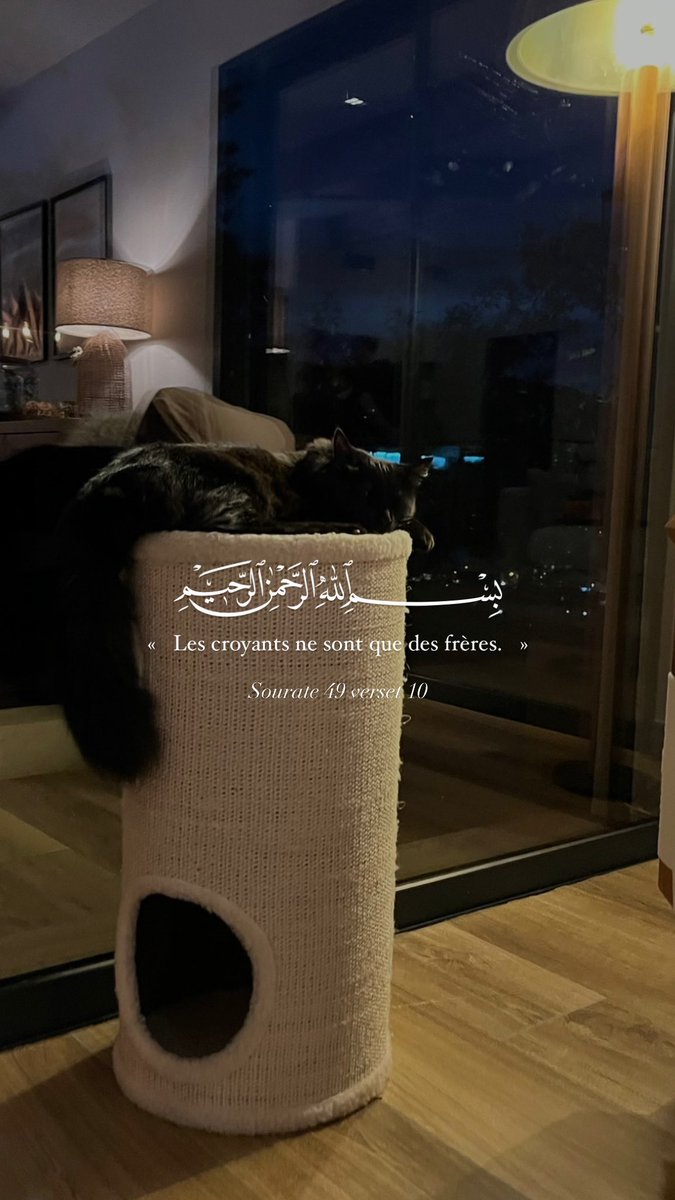 akr_tkn's tweet image. ﷽ 
Nouveaux fonds d’écrans !
📸 Photographe : @wshcgiu911