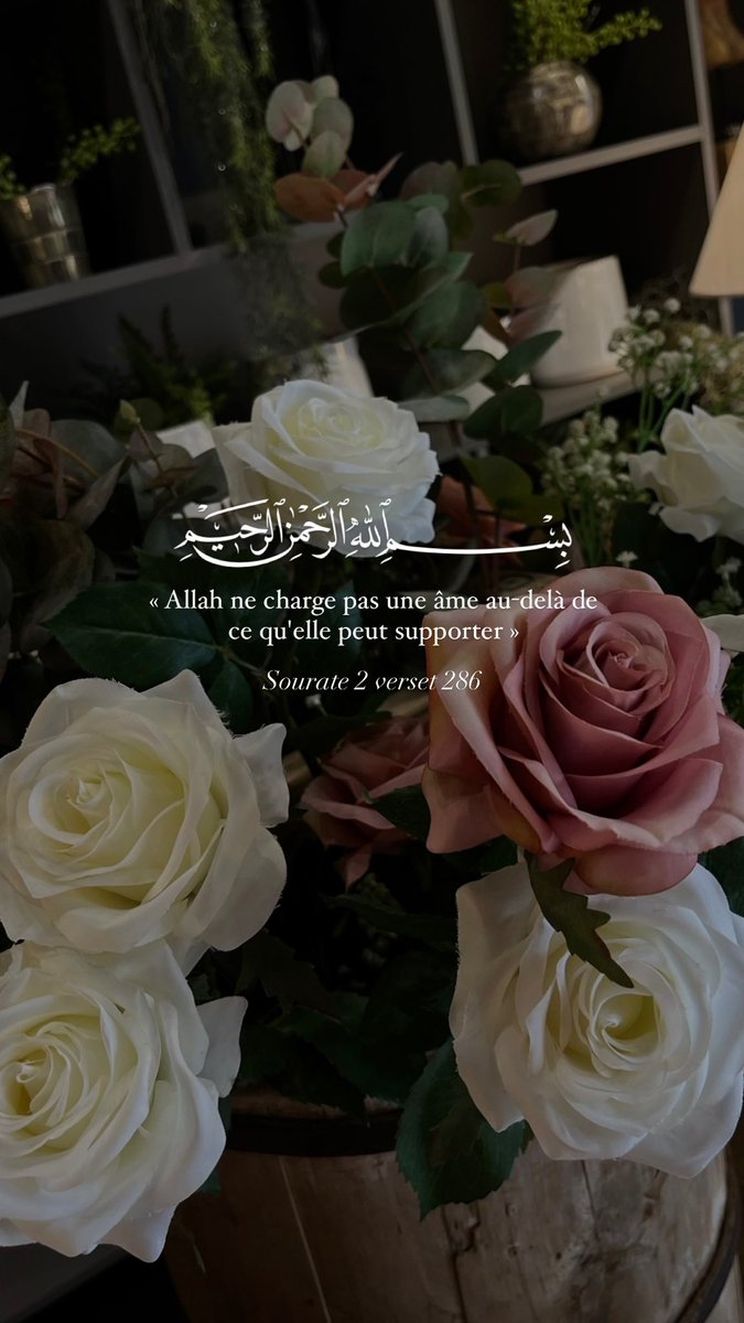 akr_tkn's tweet image. ﷽ 
Nouveaux fonds d’écrans !
📸 Photographe : @wshcgiu911