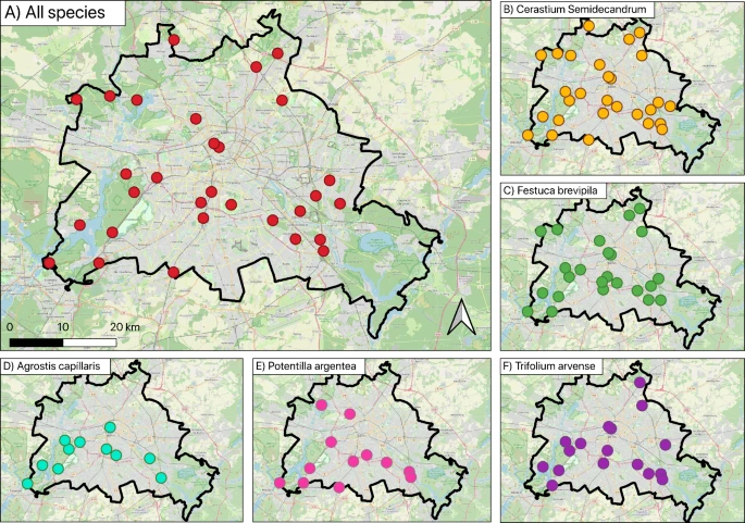 Tina Christmann tweet media
