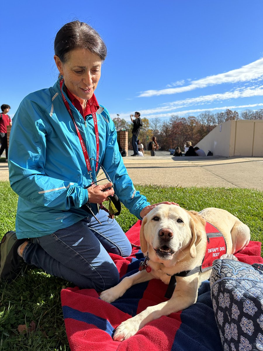 Come see Roxy in the Wellness Room (2051 by counseling) during all lunches today! <a href="/HVPaws4Cause/">Hudson Valley Paws for a Cause</a> @WoodbridgeHS <a href="/WSHSClassof2023/">WSHS Class of 2023</a> <a href="/WSHSclassof2024/">WSHS Class of 2024</a>