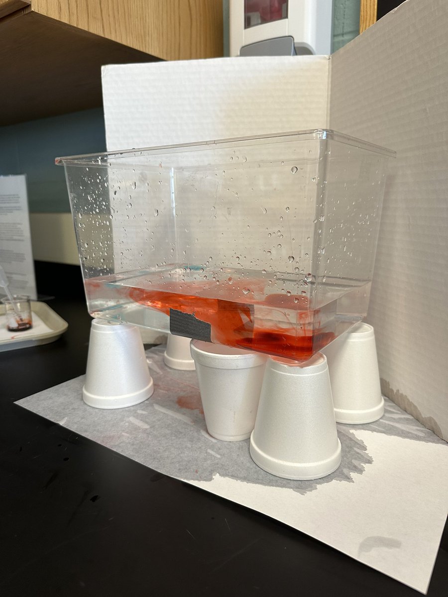 Mrs. Swensen’s class experimenting with convention currents! <a href="/SycamoreJrHigh/">Sycamore Jr High</a>