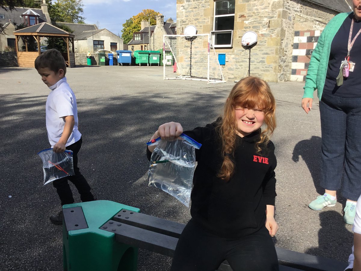 Crossroads Primary School tweet media