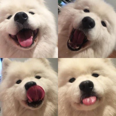 ⟡ websites that saved me this academic year 

🧵‧₊˚ #studytwt #lifetwt