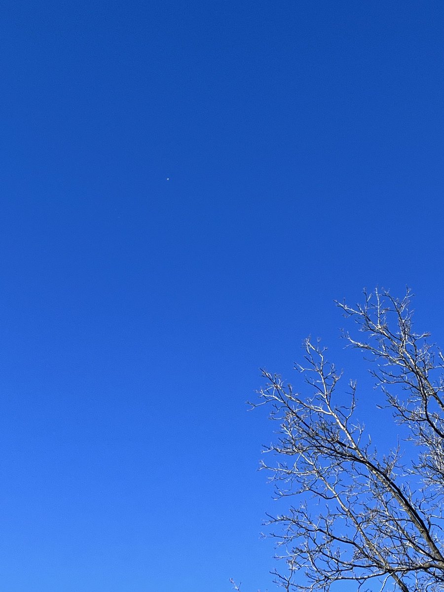 Palethinker13's tweet image. #heyyou #ourblue