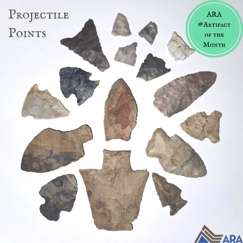 ARA Archaeology tweet media