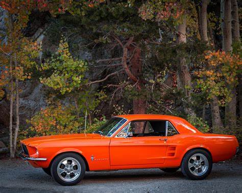 surfgirldeb's tweet photo. #MondayMustang #coloursoffall #autumn https://t.co/3yR0PKziJG