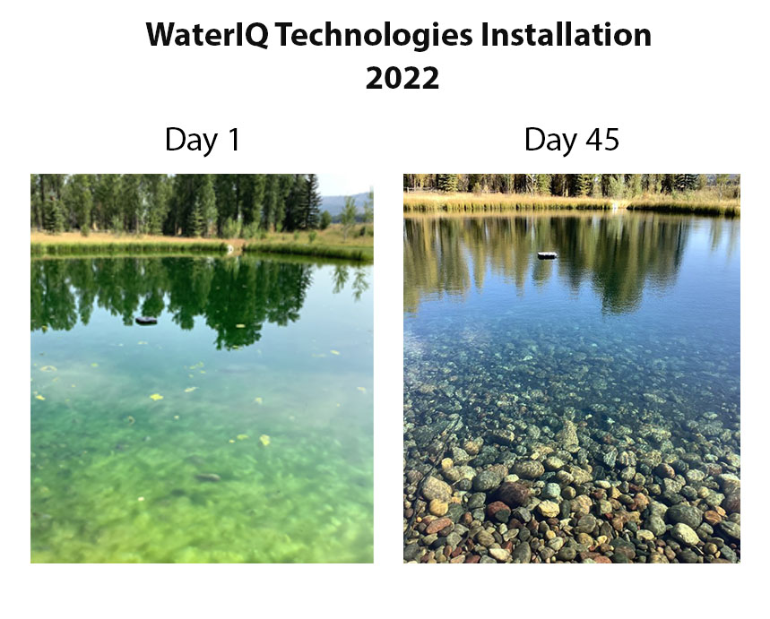 Just look at this reduction in #algae levels!  

Algae problem?  We have a chemical-free solution.  Ultrasonics works!
bit.ly/3NQ9snn  #waterquality #watertreatment