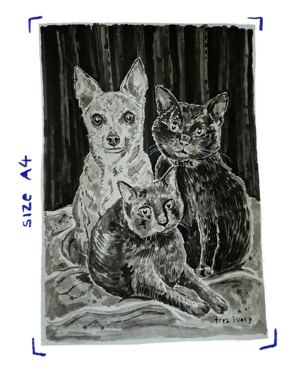 Trea Ivory tweet media