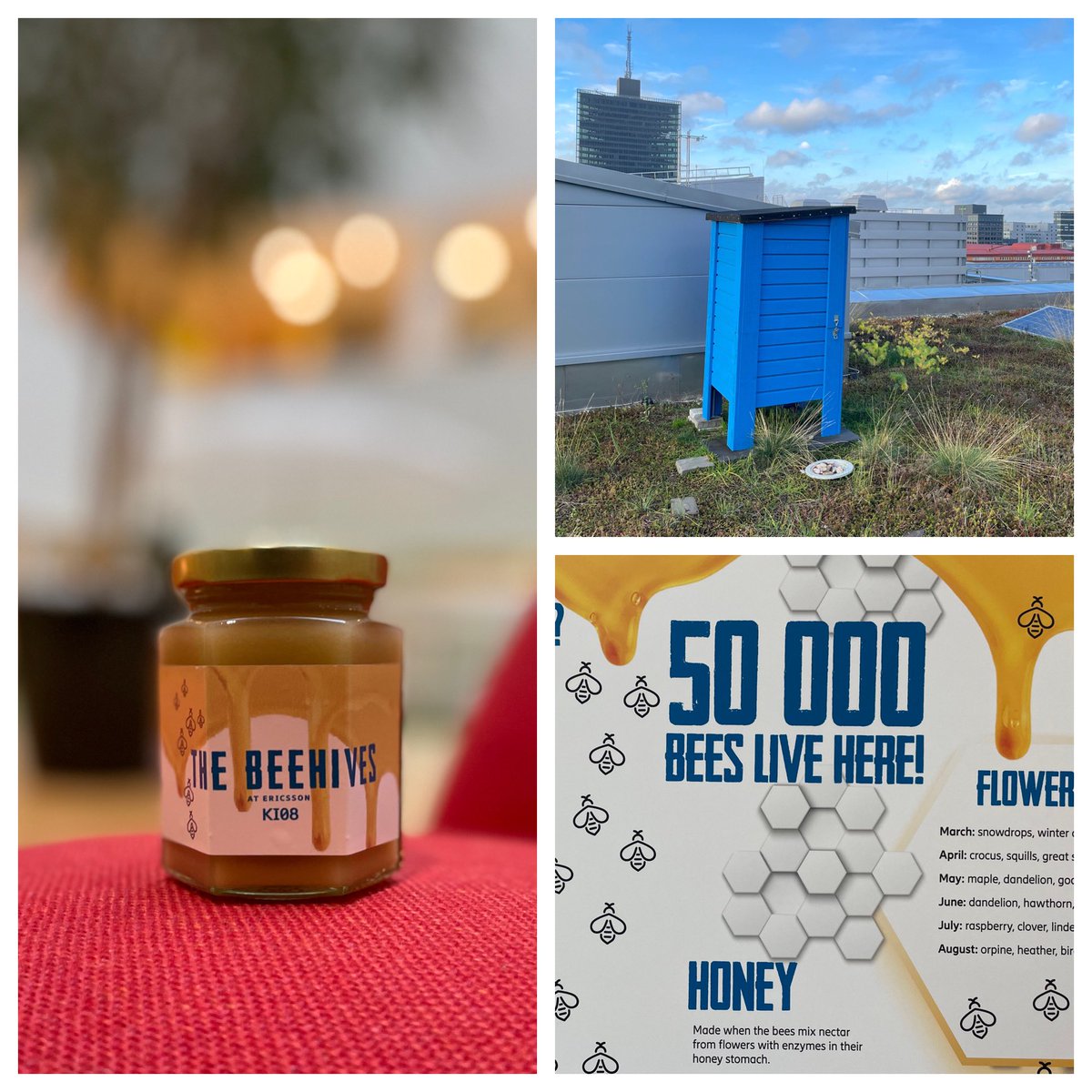 MikaelEB's tweet photo. Picked up a jar of sweet honey produced by the 50000 bees working at the Ericsson office building 08 in Kista! #ericsson #teamericsson https://t.co/mg4tDnt3iZ