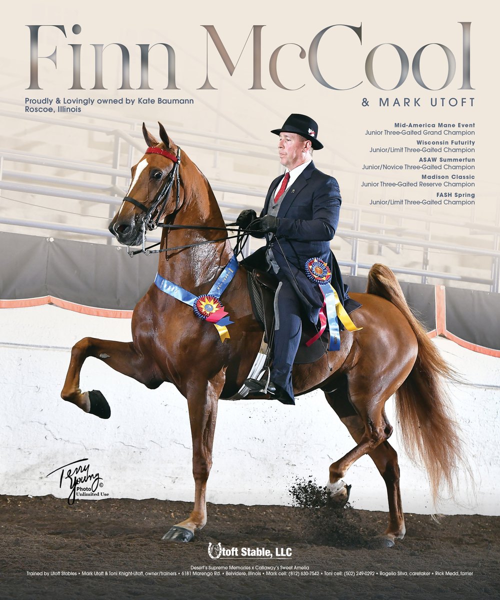 TNH1865's tweet photo. #nationalhorseman #midamericamaneevent #wisconsinfuturity #asawsummerfun #madisonclassic #fashspring #markutoft #baumann #utoftstablellc #3gaited #saddlebred https://t.co/b3ewI7C9af