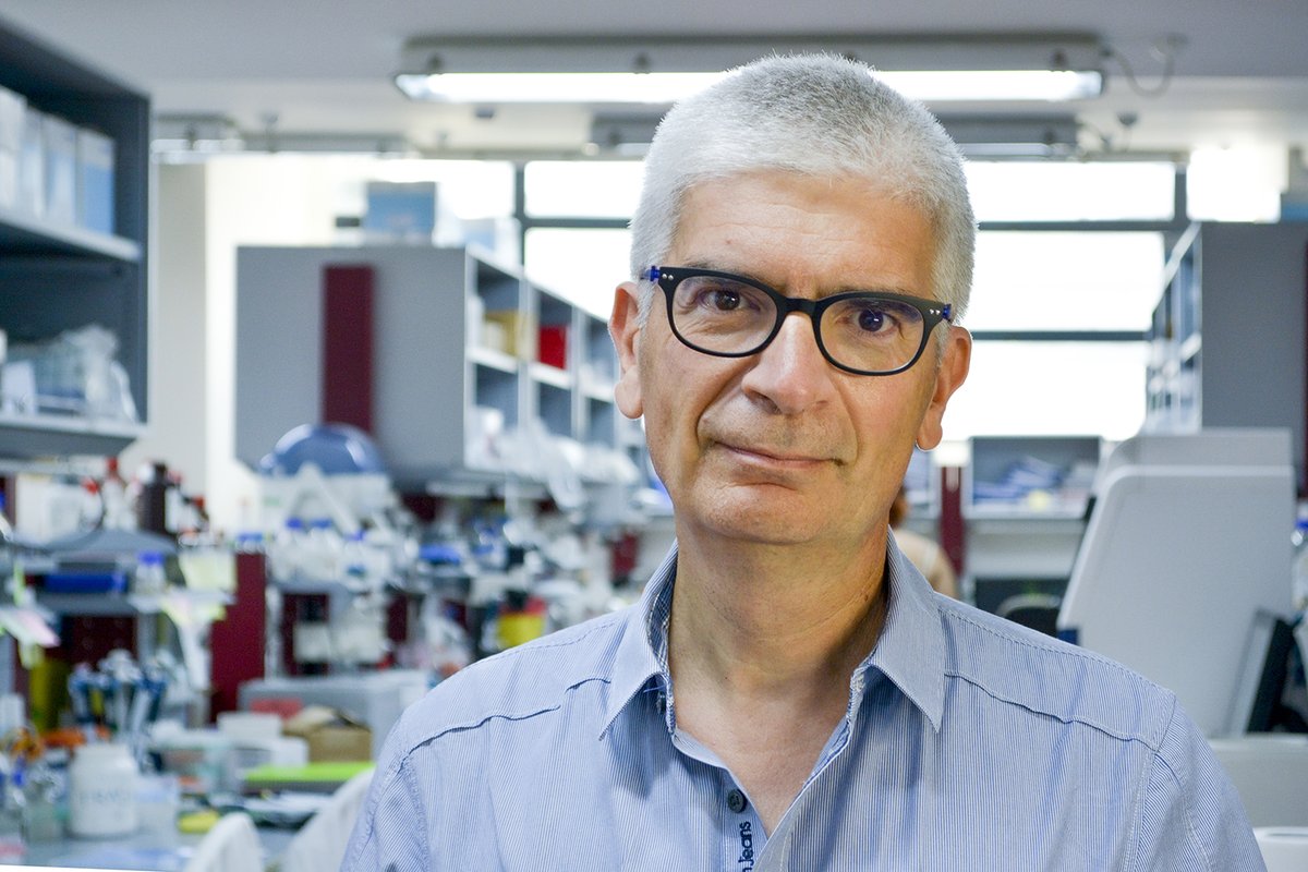 Un nuovo possibile approccio per le distrofie ereditarie della retina. Si basa sull’inibizione di due piccole molecole di RNA direttamente nella retina: molto promettenti i risultati ottenuti in modelli preclinici da ricercatori del <a href="/Tigem_Telethon/">Tigem Telethon</a> 
telethon.it/storie-e-news/…