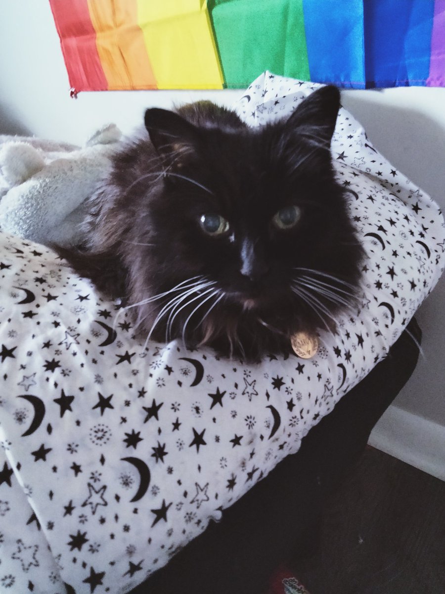 PretzelLoaf's tweet photo. 💕 https://t.co/CbJ5KzdcFl