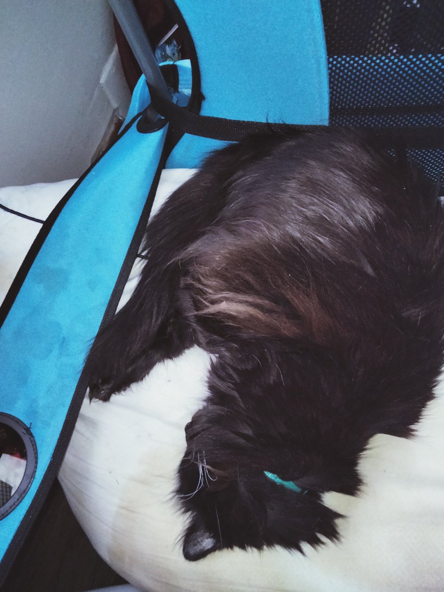 PretzelLoaf's tweet photo. 💕 https://t.co/CbJ5KzdcFl