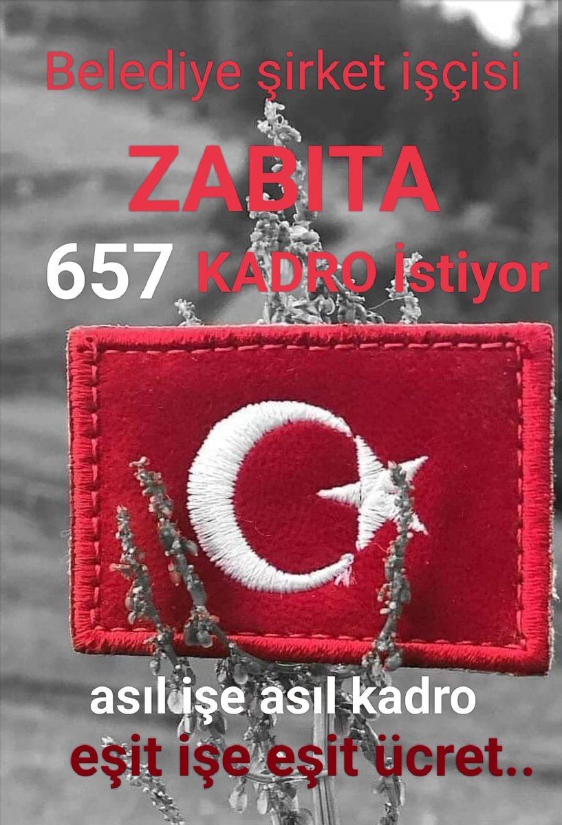 My694745's tweet photo. ✅Seyyar faaliyet gösteren vergisiz çalışanlara müdahale eden TAŞERON ZABITA

✅Mahkemelerde vasıfsız yargılanan taşeron zabıta 

✅BİR ÇOK SALDIRIYA MARUZ KALAN TAŞERON ZABITA 

@rterdogan @dbdevletbahceli @csgbakanligi @haliletyemez
@vedatbilgn @ikalin1
#ŞirketZabıtasıKabinede https://t.co/tmswrbRdGP