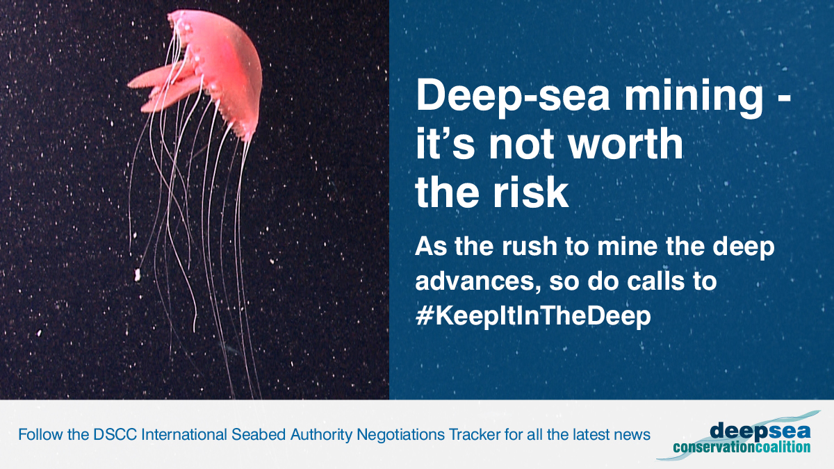 DeepSeaConserve's tweet image. The 27th Session of the @ISBAHQ continues in Jamaica this week. #DeepSeaMining is not needed, wanted or worth the risk. We must #KeepItInTheDeep and say NO!

🗞️ Follow us at @DeepSeaConserve for all the news.

savethehighseas.org/isa-tracker/ #DefendTheDeep #ISA27