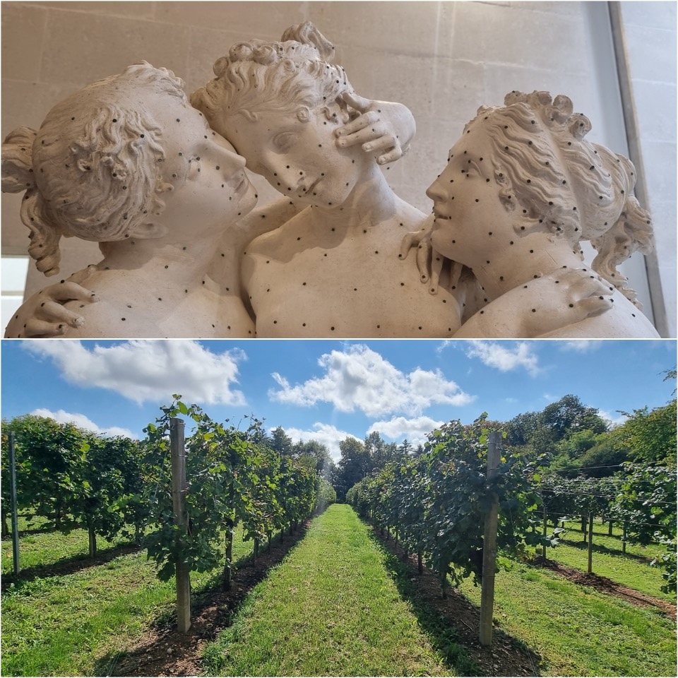Secret Sommelier (@wineinterviews) on Twitter photo Read the latest article from SecretSommelierUK about #Asolo #Prosecco in #Veneto secretsommelier.com/wine-posts-rev… <a href="/VillaSandi_it/">Villa Sandi Prosecco</a> <a href="/Giustiwine/">Giusti Wine</a> #glera #gleragrapes #bubbly #colfondo #brutnature #wines #vin #vino #wein #vintageprosecco #brut #extrabrut #extradry #spumante #sparklingwine Read the latest article from SecretSommelierUK about #Asolo #Prosecco in #Veneto secretsommelier.com/wine-posts-rev… <a href="/VillaSandi_it/">Villa Sandi Prosecco</a> <a href="/Giustiwine/">Giusti Wine</a> #glera #gleragrapes #bubbly #colfondo #brutnature #wines #vin #vino #wein #vintageprosecco #brut #extrabrut #extradry #spumante #sparklingwine
