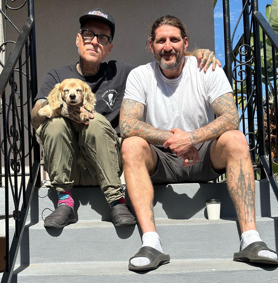 Toby Morse tweet media