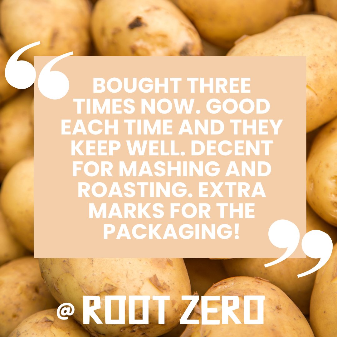 ROOT ZERO tweet media